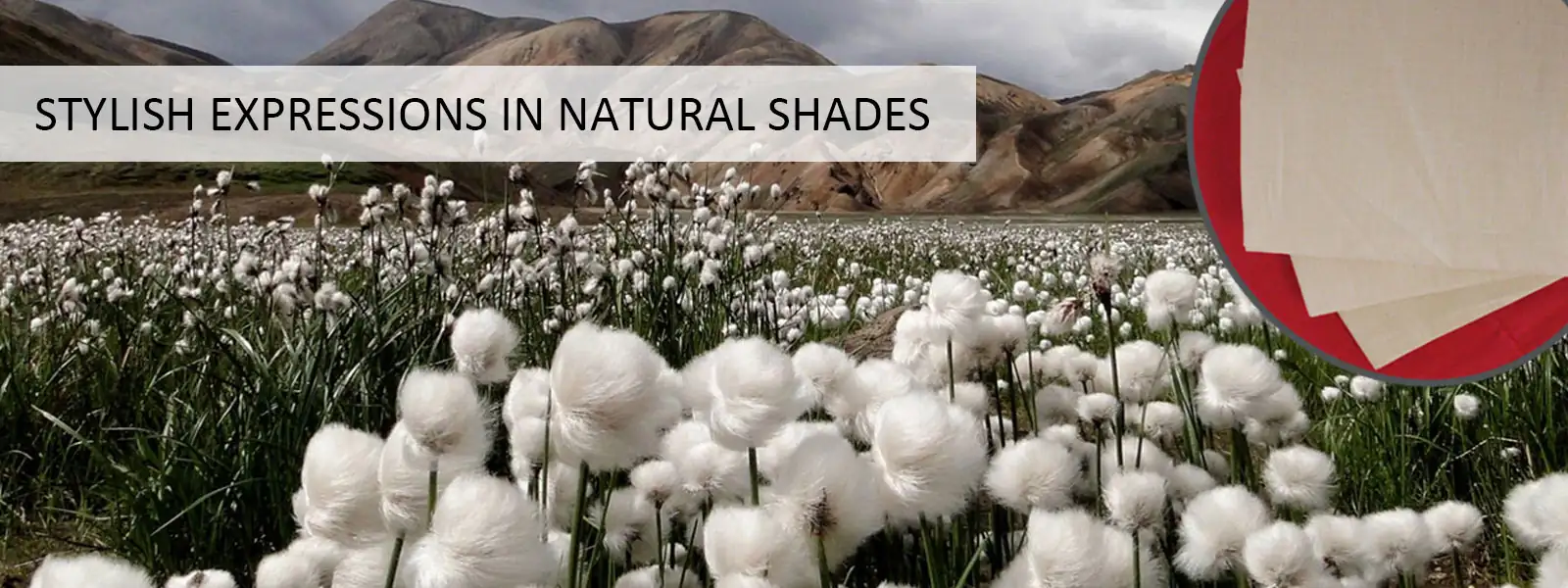 Stylish Expressions in Natural Shades